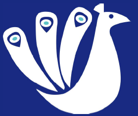 DocPeacockSpeaks